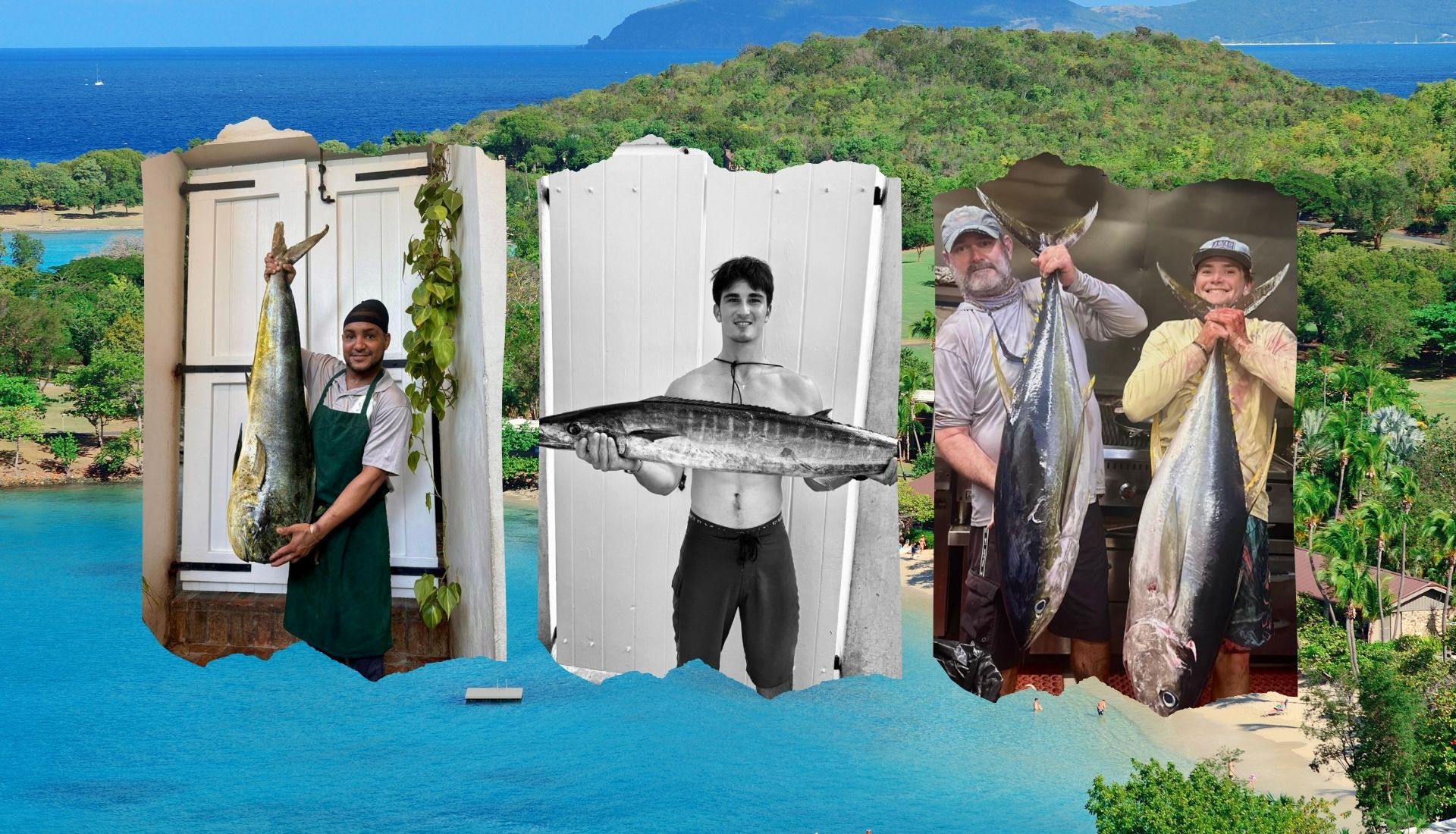 Sustainable Seafood: How We Source Our Ingredients